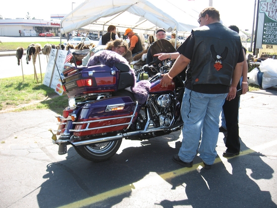 Purple Dream Machine