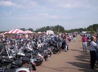 Plenty of bikes